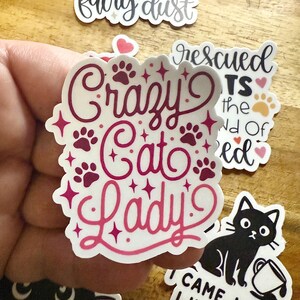 May include: A die-cut sticker featuring the text Crazy Cat Lady in dark pink script lettering, accented with small paw prints and star shapes. The sticker has a white background and a scalloped edge, with other cat-themed stickers visible nearby.