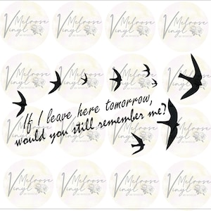 Free Bird Lyrics - Vinyl Decal Sticker - Lynyrd Skynyrd Song - Rock & Roll - Southern Rock - Various Colors and Sizes