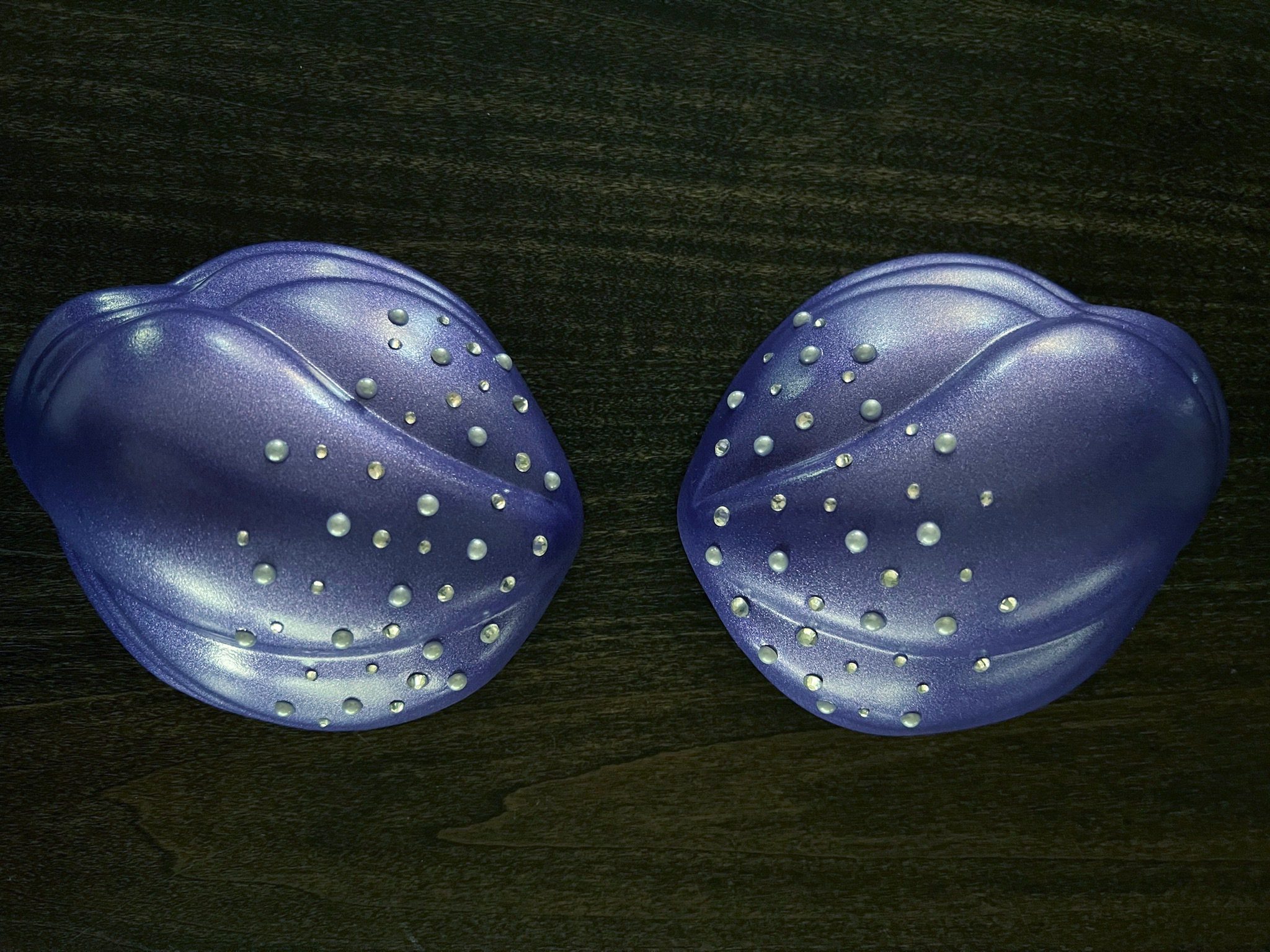 Ariel Mermaid Shells for Bra Top