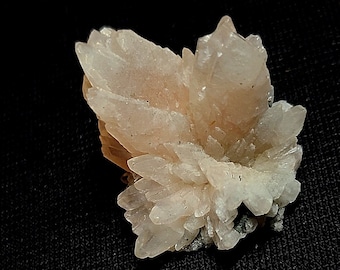 May include: A cluster of delicate, pale pink crystals with a slightly translucent appearance. The crystals are arranged in a flower-like formation, with sharp points and a rough texture.