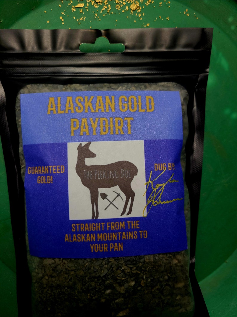 PAGO DE ORO DE Alaska Oro garantizado Oro real de Alaska extraído por Kayla Johanson. Lea la descripción del artículo para obtener información sobre todas las opciones de bolsas. imagen 3