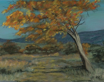 9x12 The Shade of the Tree Pastel signed original one of a kind hand painted landscape not a print chalk art Grand Junction, CO fall colors