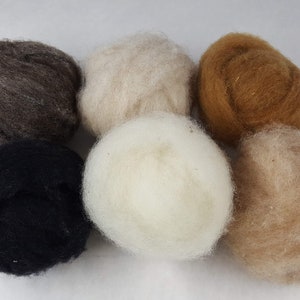 May include: Six balls of wool in various colors, including brown, black, white, beige, and light brown.