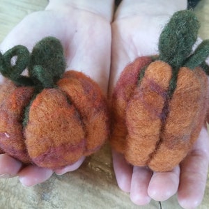 Pumpkin Needle Felting Kit DIY