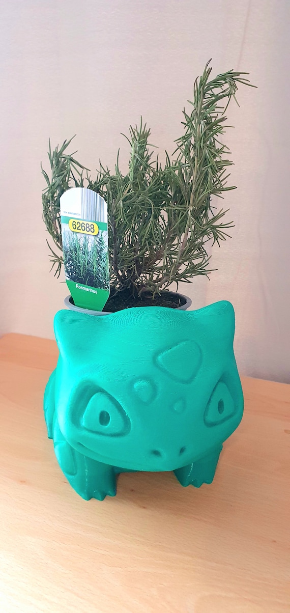 Bulbasaur Planter, Pokemon Gift, Plant Pot, Cactus Holder, Succulent  Holder, Pot, Housewarming Gift, Cartoon Pokemon Succulent Flower Pot - Etsy