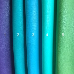 May include: Five different colors of leather swatches, numbered 1 through 5. The swatches are arranged vertically from left to right. The colors are purple, teal, blue, turquoise, and green.
