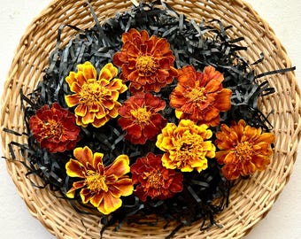 3D Dried Marigold Flowers, Orange Floral Embellishments (2-1.5 in)