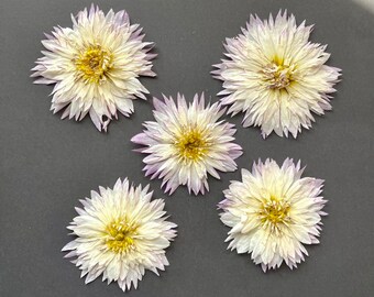 50 Pcs Small Dried Flowers,tiny Dry Flowers,flowers for Resin,box Resin  DIY, Dry Flower Supply, Dried Flowers Kit, Dried Flowers for Crafts 