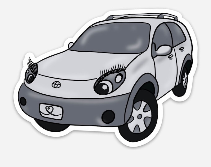 RAV4 Magnet