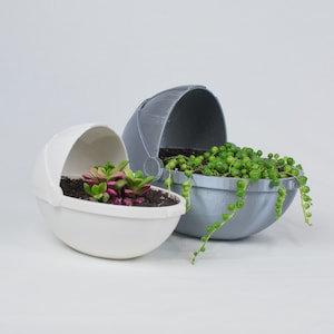 May include: Two white and gray ceramic planters with a rounded shape, resembling a helmet or a cradle. The planters are filled with green succulents and have a small opening on the top.