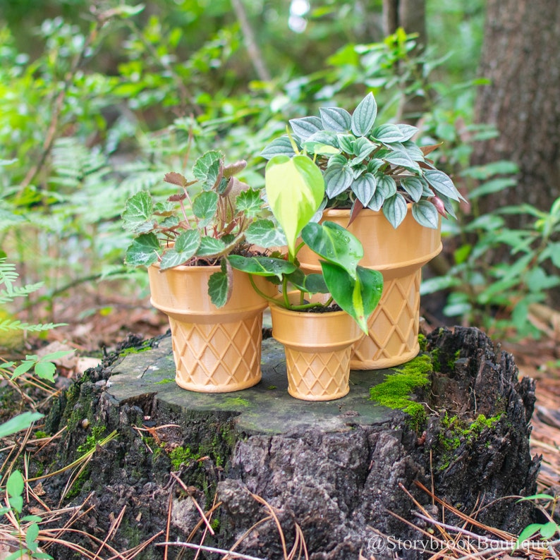 Three 3D printed ice cream cone planters arranged on a moss covered stump in a wooded area. Each planter has a plant in it. The large has a Peperomia Napoli Nights, the medium has a Strawberry Begonia, and the small has a Philodendron Brazil.