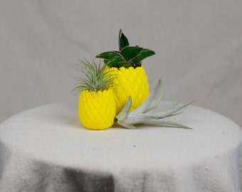 Mini Pineapple 3D Printed Planter