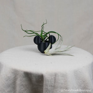 Puede incluir: Una maceta negra con forma de Mickey Mouse con dos plantas de aire. Una planta de aire tiene hojas verdes y la otra tiene hojas blancas.