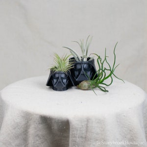 Może przedstawiać: Dwa czarne doniczki w kształcie Dartha Vadera z powietrznymi roślinami. Mniejsza doniczka jest na pierwszym planie, a większa w tle. Doniczki stoją na białym obrusie.