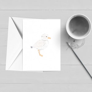 Pluvier siffleur Carte de vœux|Oiseau|Mouette|Cape Cod|Nantucket|Aquarelle|Papeterie|Ensemble de cartes en boîte|Carte unique|Cadeau|Cap et îles|Note