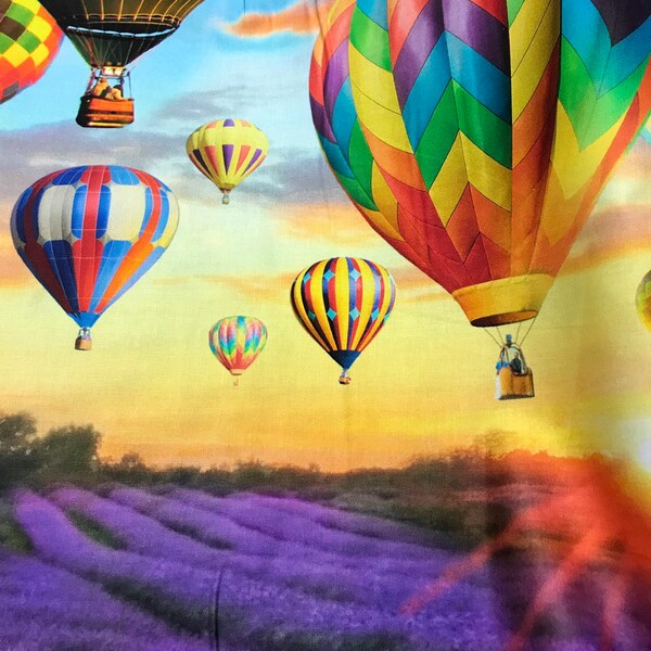 Hot Air Balloon Fabric Panel Etsy