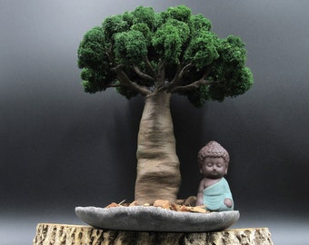 Bonsai baobab | Etsy Bonsai baobab | Etsy