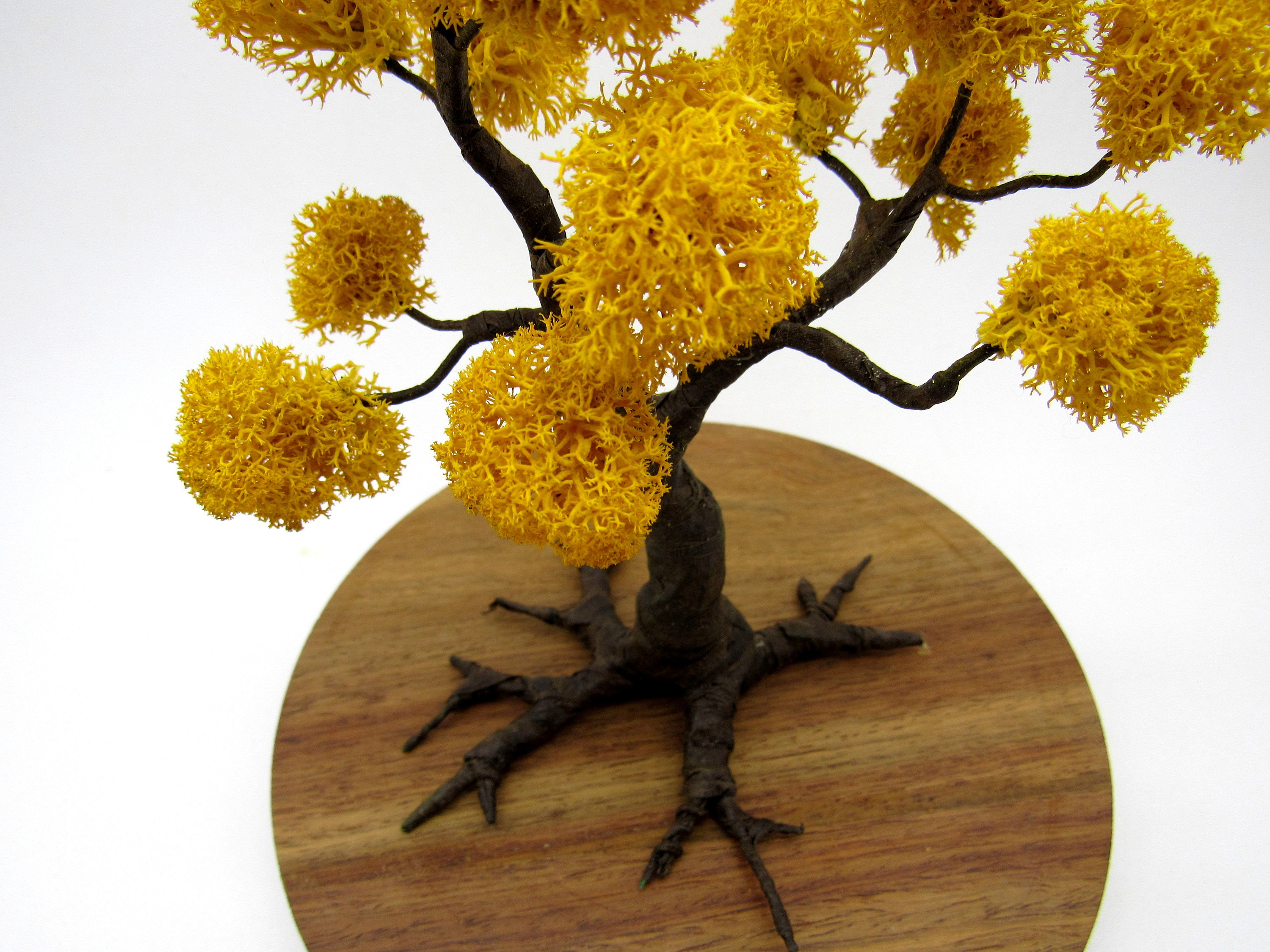 Artificial yellow bonsai tree with preserved moss Terrarium Etsy