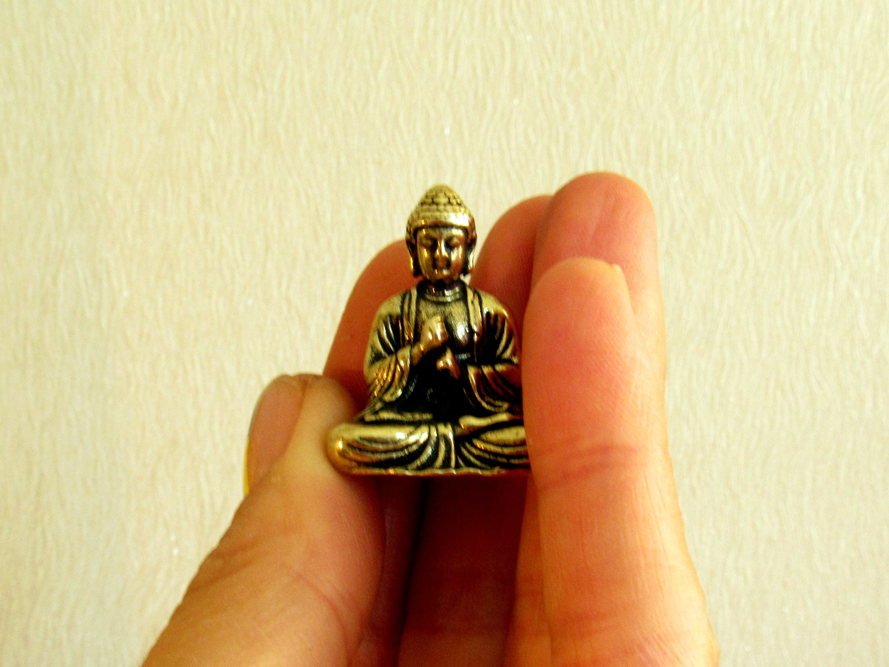 Mini Zen Garden Cooper Buddha Statue Preserved Moss Bonsai Etsy