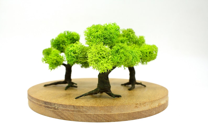 Fairy Garden Trees 3 Inches Preserved Moss Fairy Garden Supply Indoor Terrarium Plants Low Light Artificial