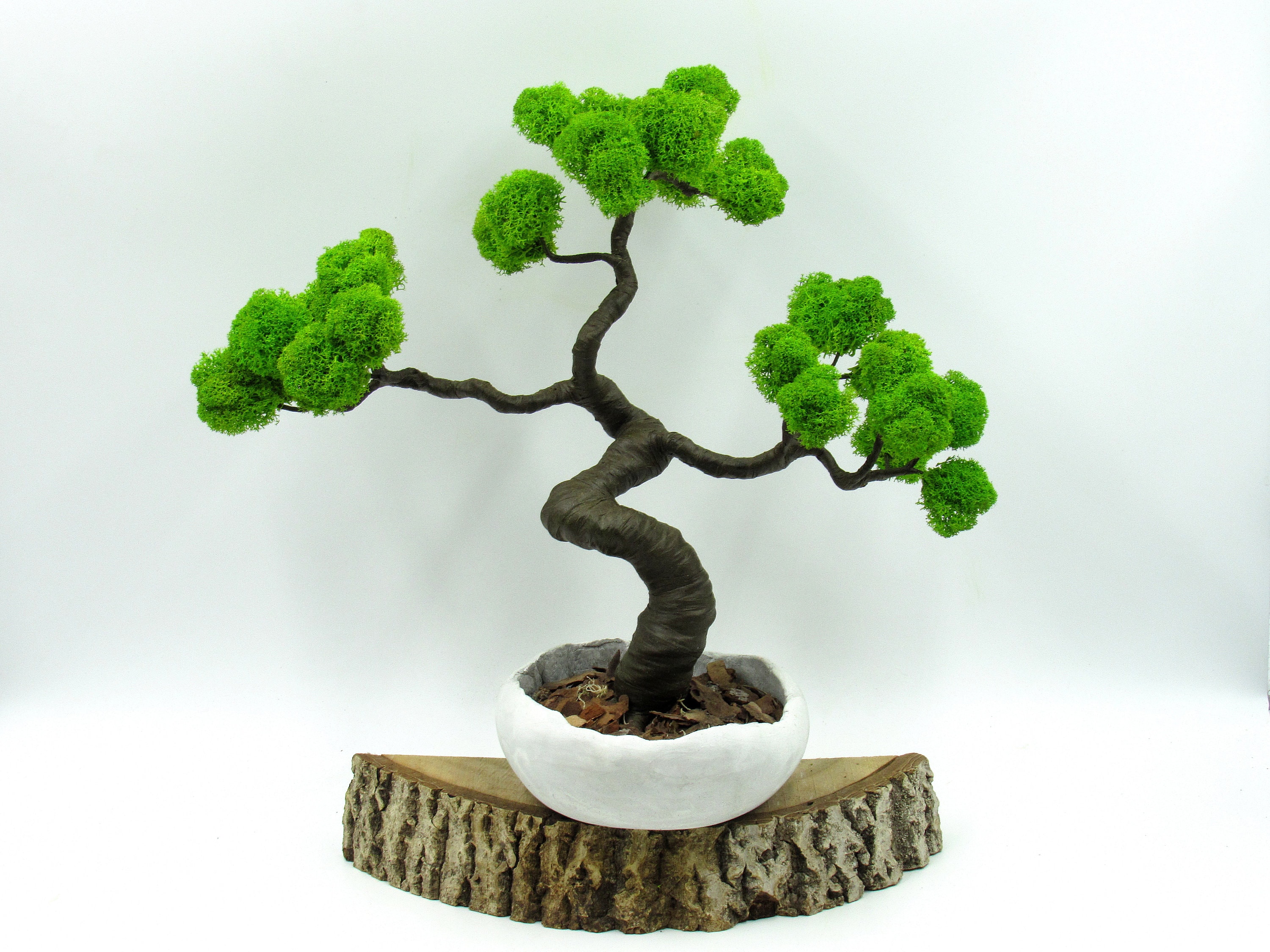 Artificial Bonsai tree preserved moss 8 inches bonsai Etsy