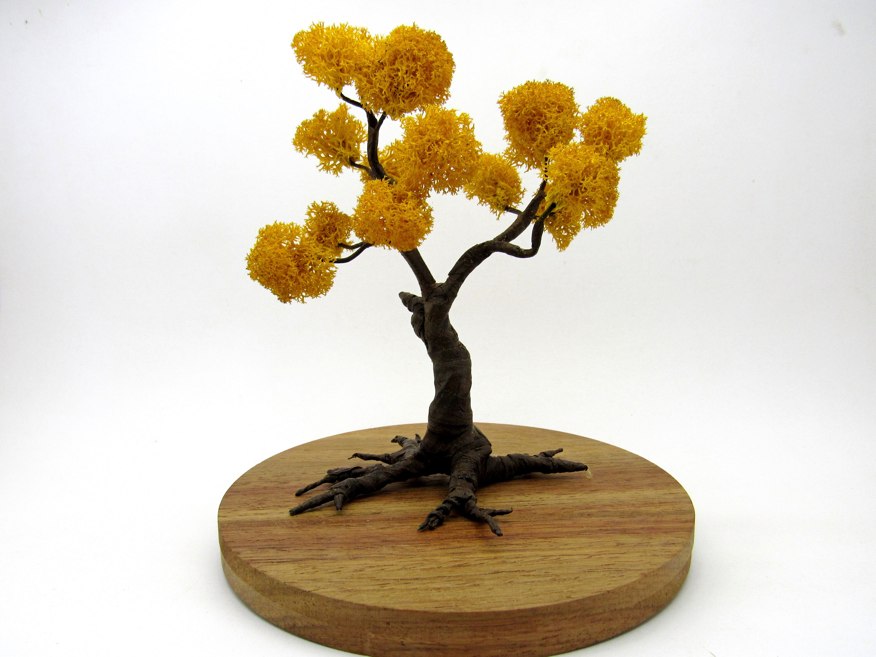Artificial yellow bonsai tree with preserved moss Terrarium Etsy