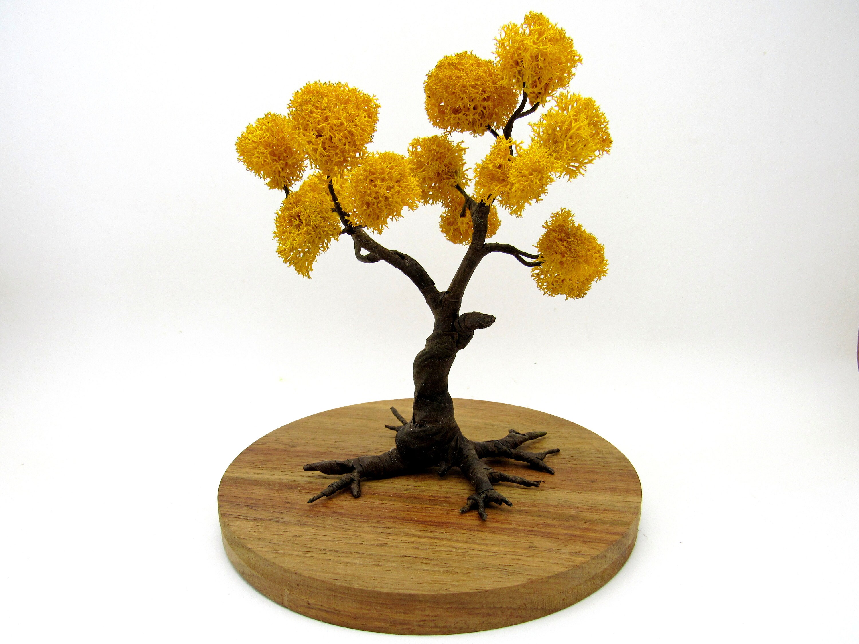 Artificial yellow bonsai tree with preserved moss Terrarium Etsy