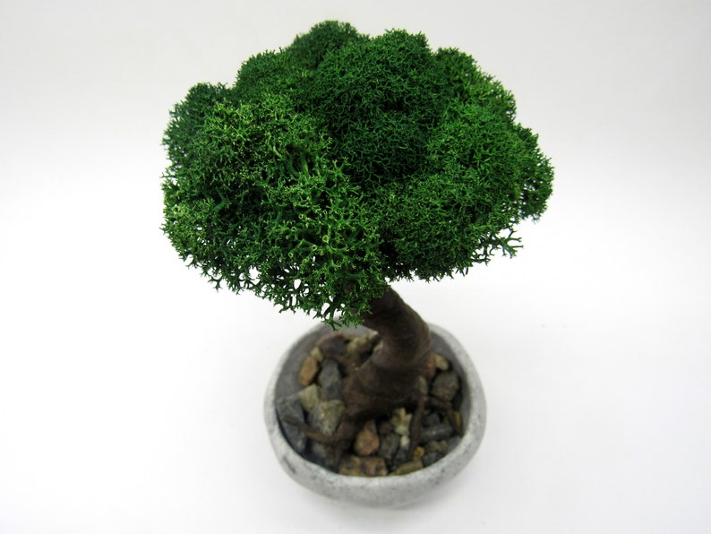 Fake Bonsai tree with handmade pot Artificial bonsai garden Etsy