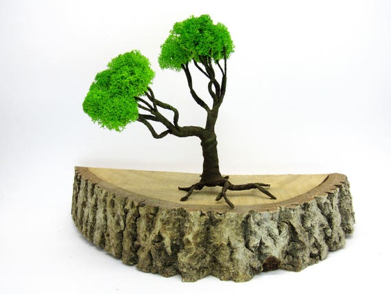 Bonsaï de fil cadeau sculpture arbre pour collègue intérieur Bureau ... Bonsaï de fil cadeau sculpture arbre pour collègue intérieur Bureau ...
