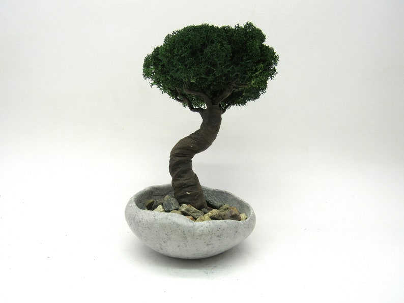 Fake Bonsai Tree With Handmade Pot Artificial Bonsai Garden Etsy Israel