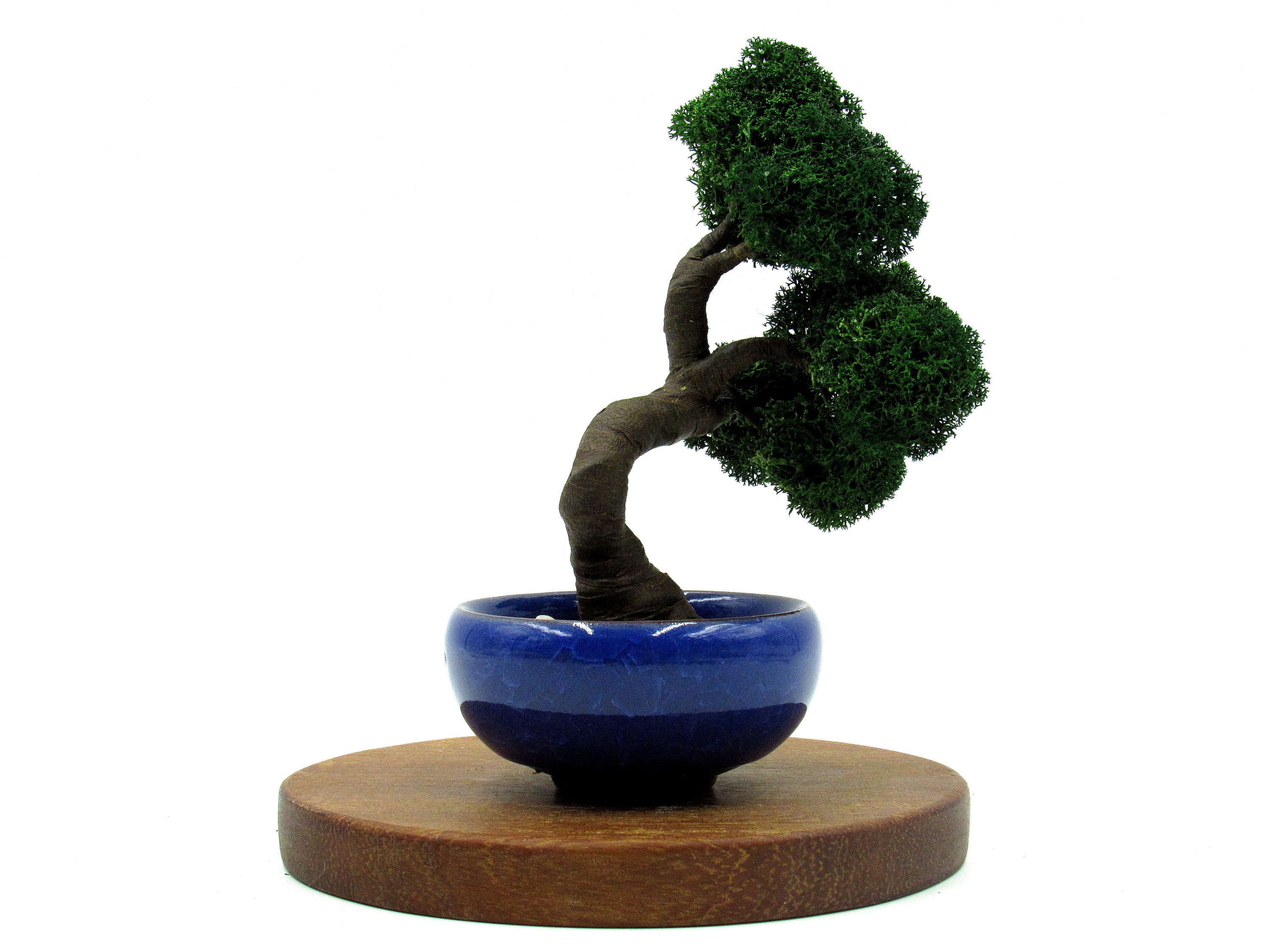 Fake Bonsai tree with ceramic pot Artificial bonsai Etsy