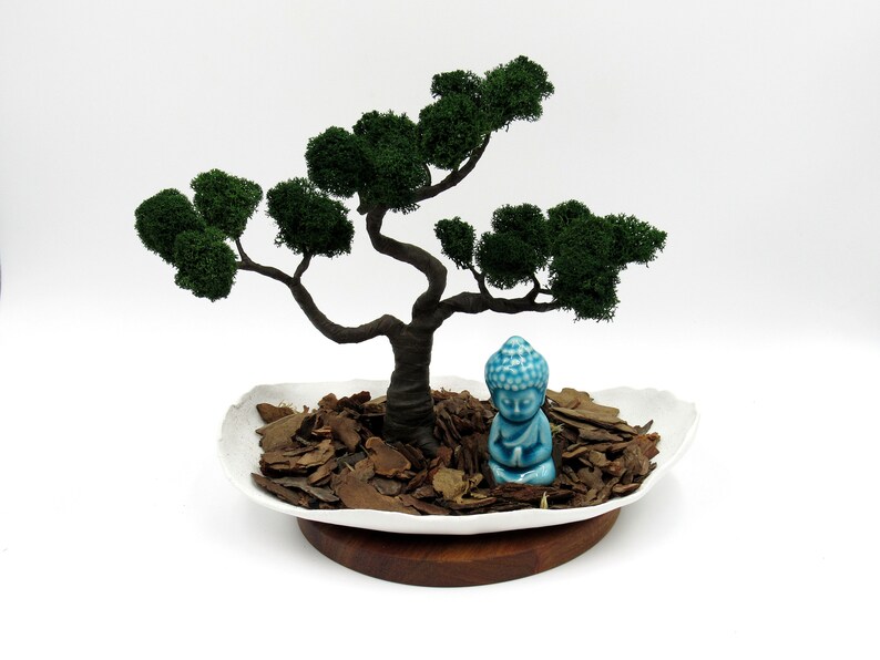 Mini jardín zen Estatua de Buda Bonsai árbol oficina de | Etsy