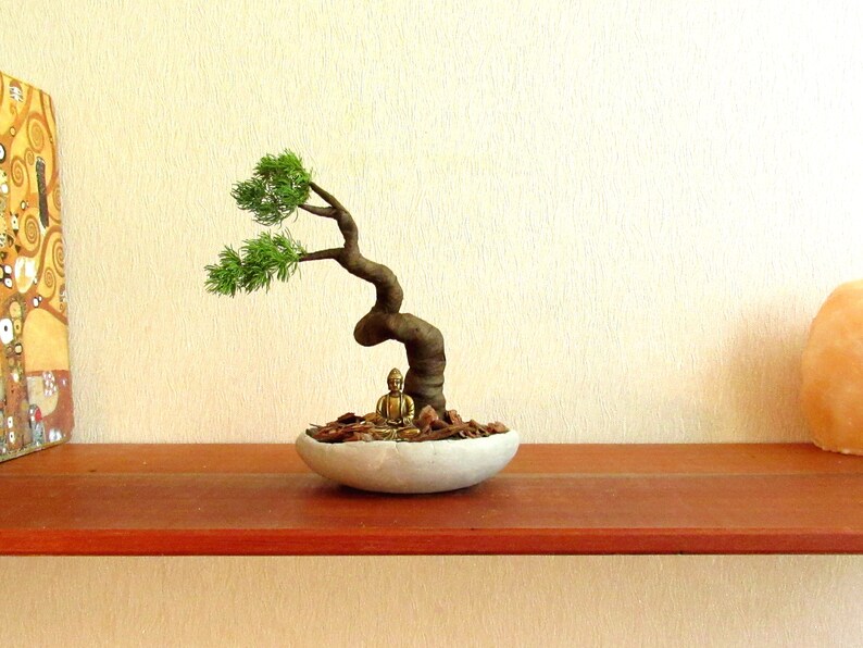 Mini zen garden bonsai tree Cooper Buddha statue Guanyin Etsy