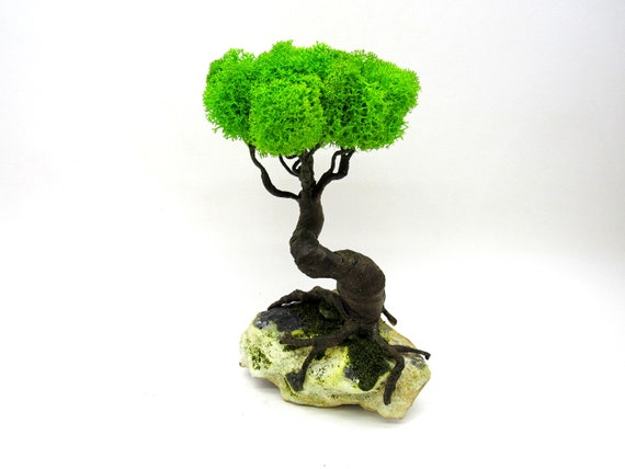 Bonsai Tree Stone Desk Zen Decor Eco Friendly Gift Fairy Garden