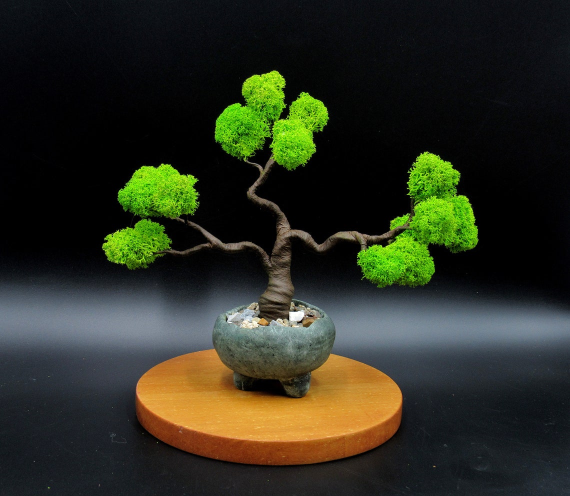 Light green artificial bonsai tree with polymer clay pot Etsy