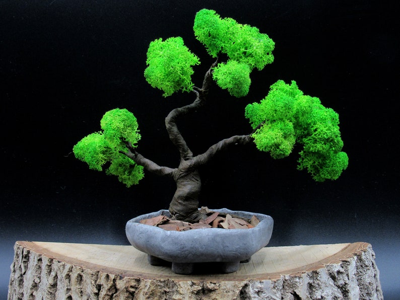 Fake Bonsai tree with handmade pot Artificial bonsai ...