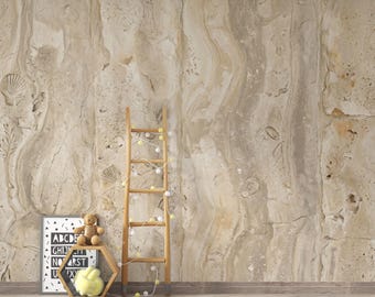 Neutral Fossil Shell Wallpaper | Beige Textured Faux Plaster Wall Mural | Coastal Peel and Stick Wallpaper | Vintage Stone Wallpaper 444DE