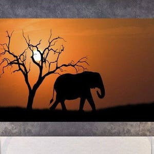 Painteeze Safari Painting Like Wall Decal, Safari sticker, Elephants cfb 123