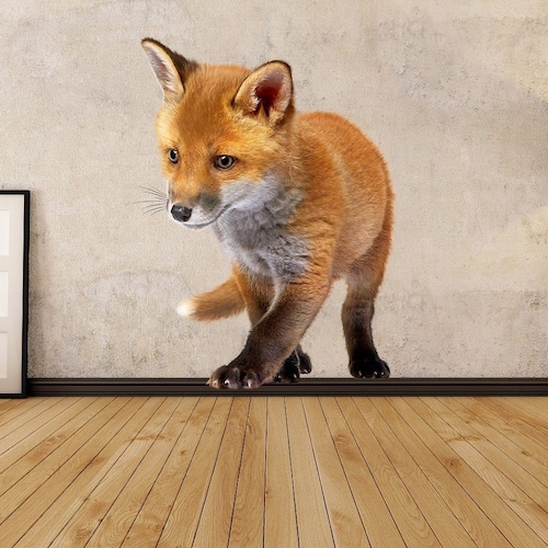 Details about   Fox vinyl decal sticker wall art decoration decor wildlife nature foxes