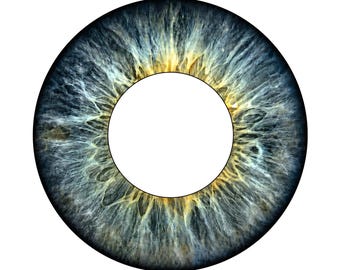 Eye Sticker, Wall Real Eye Decal Al009