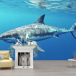 Great White Shark Wall Mural – Ocean Theme Bedroom Decor – Underwater Shark Wallpaper Vn386