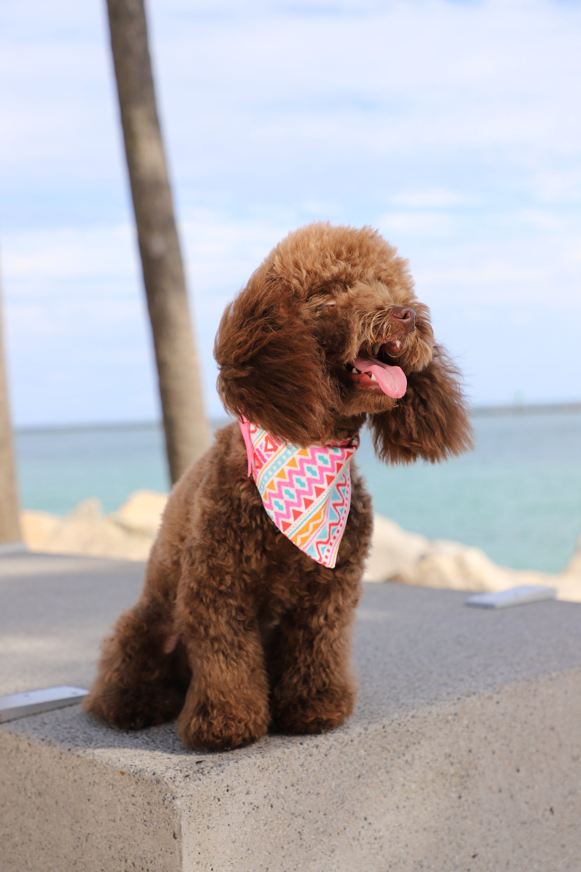 Chat ou Chien Bandana, Carnaval Foulard Chat, Foulard, Bandana Carnaval d'été Pour Chiens Chats