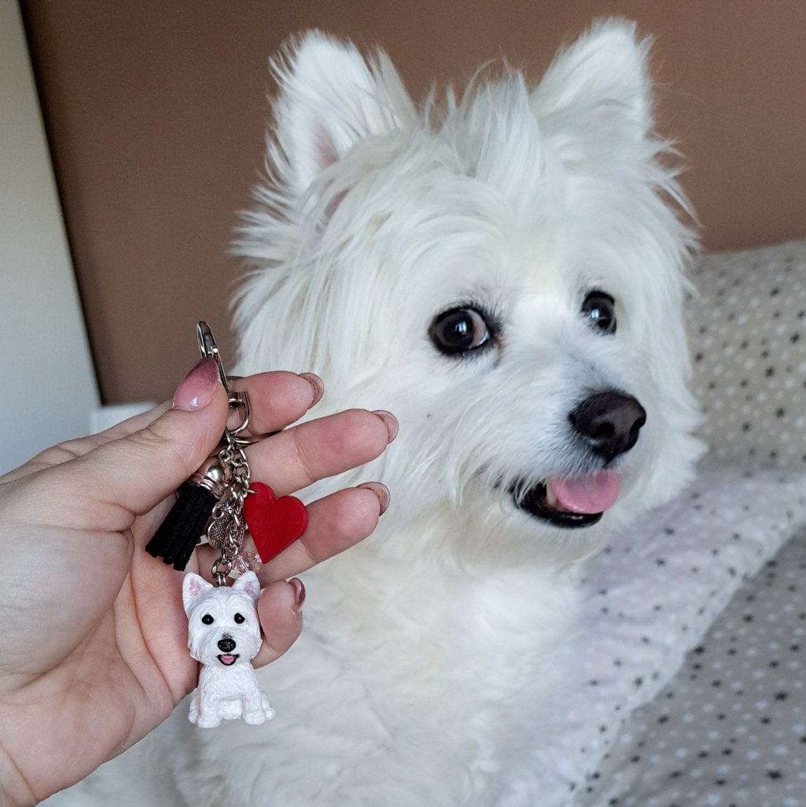Teacup westie puppies