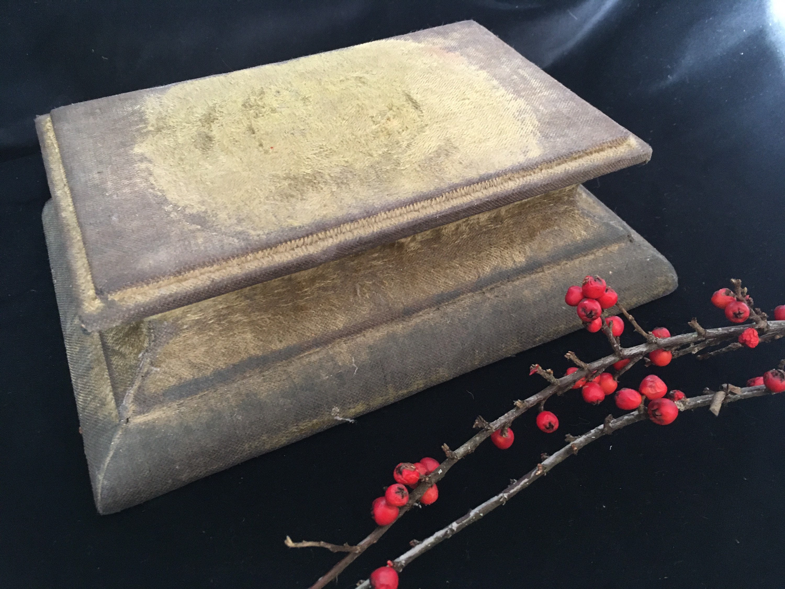 stand Antique d'affichage de Velours