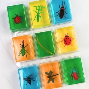 May include: A collection of nine rectangular clear plastic containers, each filled with a translucent colored gel and a plastic insect figure. The insects include a ladybug, mantis, beetle, centipede, dragonfly, and bee in various colors.