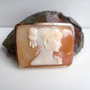 May include: A rectangular cameo brooch featuring a profile of a woman with an elaborate hairstyle. The cameo is set in a gold-colored frame. The woman's profile is carved in white against a warm, orange-brown background.