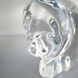 Hoya Museum Crystal - Etsy
