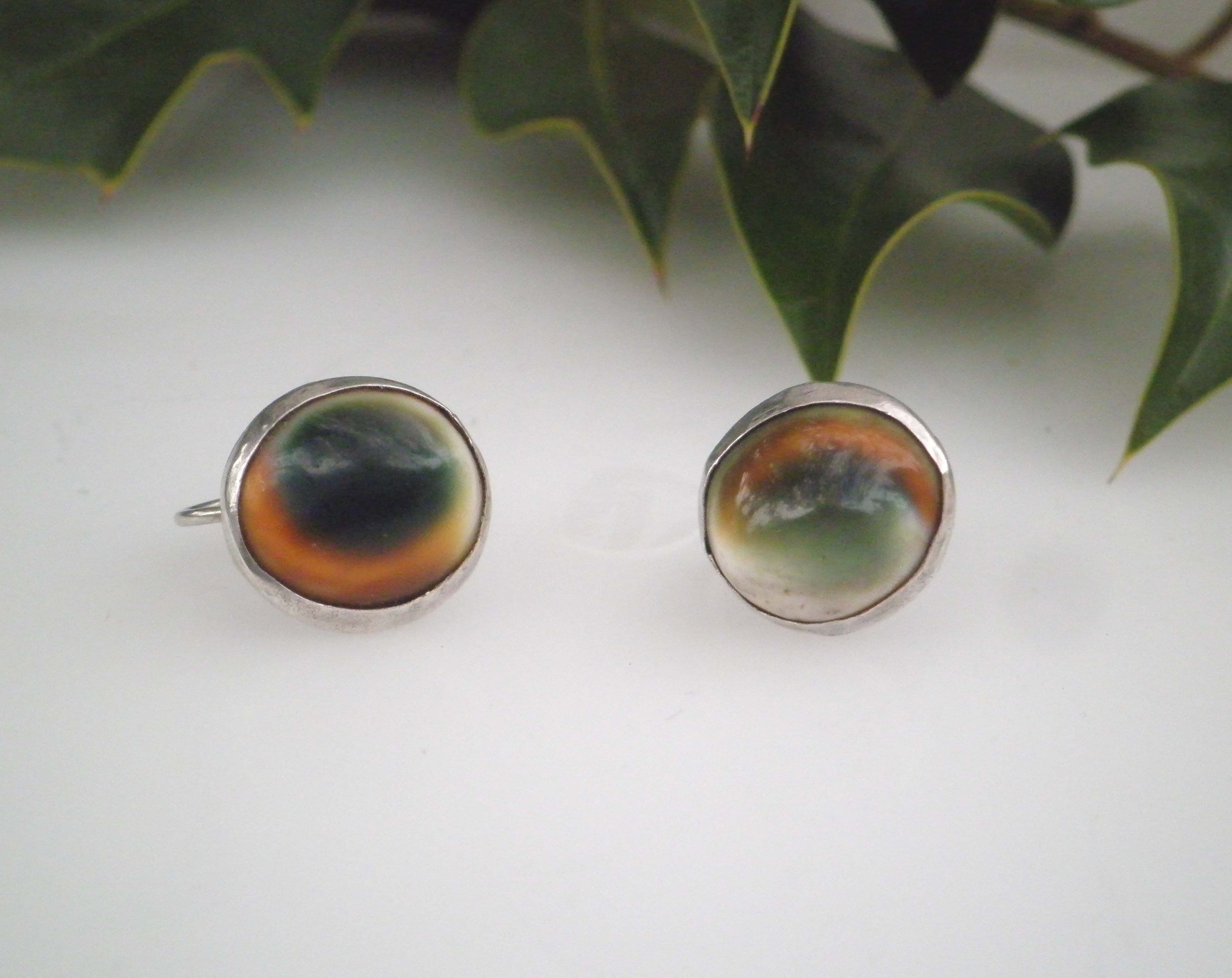 Vintage Signed Early 1900s Shivas Eye Operculum Shell  display picture 1