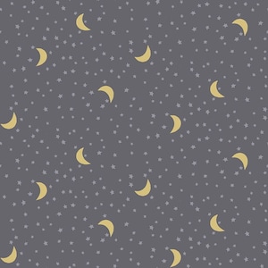 Sky / Noah's Ark Fabric / Moon Fabric / Noah's Ark / Dear Stella Designs