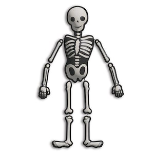 May include: A black and white skeleton decoration with a smiling skull, rib cage, and articulated limbs. The Halloween-themed decoration is designed to stand upright and is suitable for indoor or outdoor use.